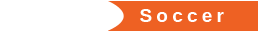 Web漏洞扫描工具